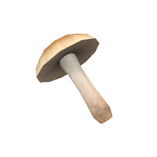 Shroom